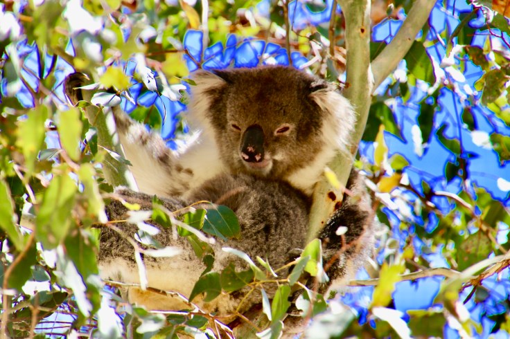 10753135872_IMG_4040