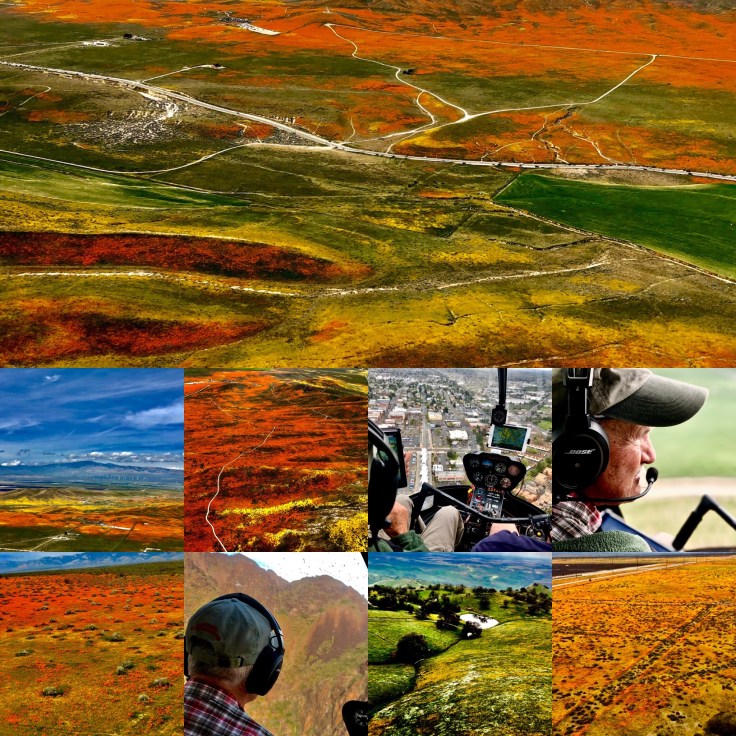 4CBE0BE8-DE13-49E5-A399-7D8BB4862630